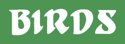 Birds Apparel